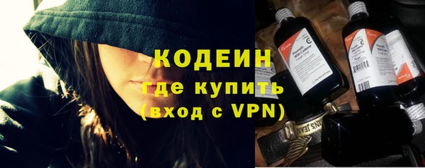 прущие грибы Магас