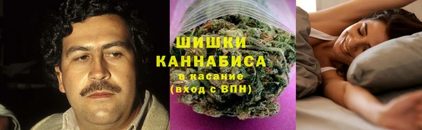 прущие грибы Магас