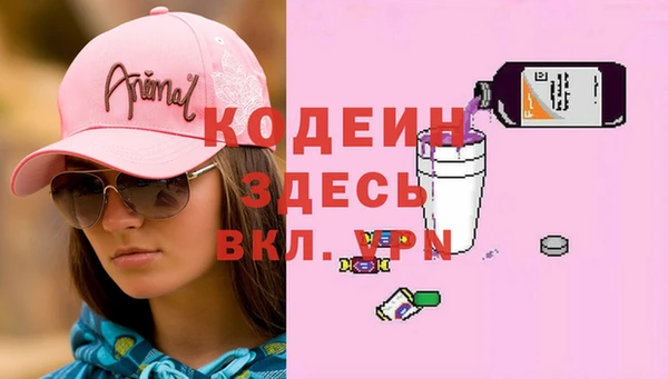 apvp Галич