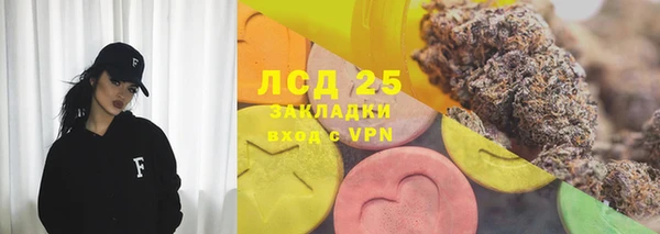 прущие грибы Магас