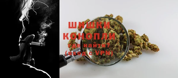 прущие грибы Магас