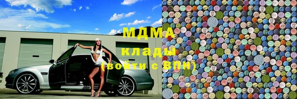 прущие грибы Магас