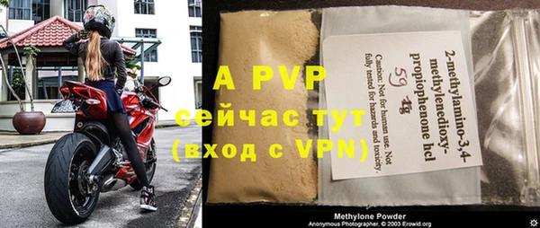прущие грибы Магас
