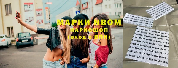 прущие грибы Магас