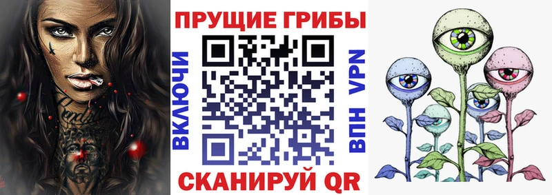 где купить   Нижний Ломов  Псилоцибиновые грибы Psilocybe 